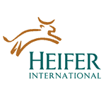 heifer international heifer international